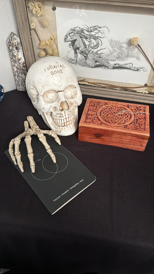 Bone Throwing Reading